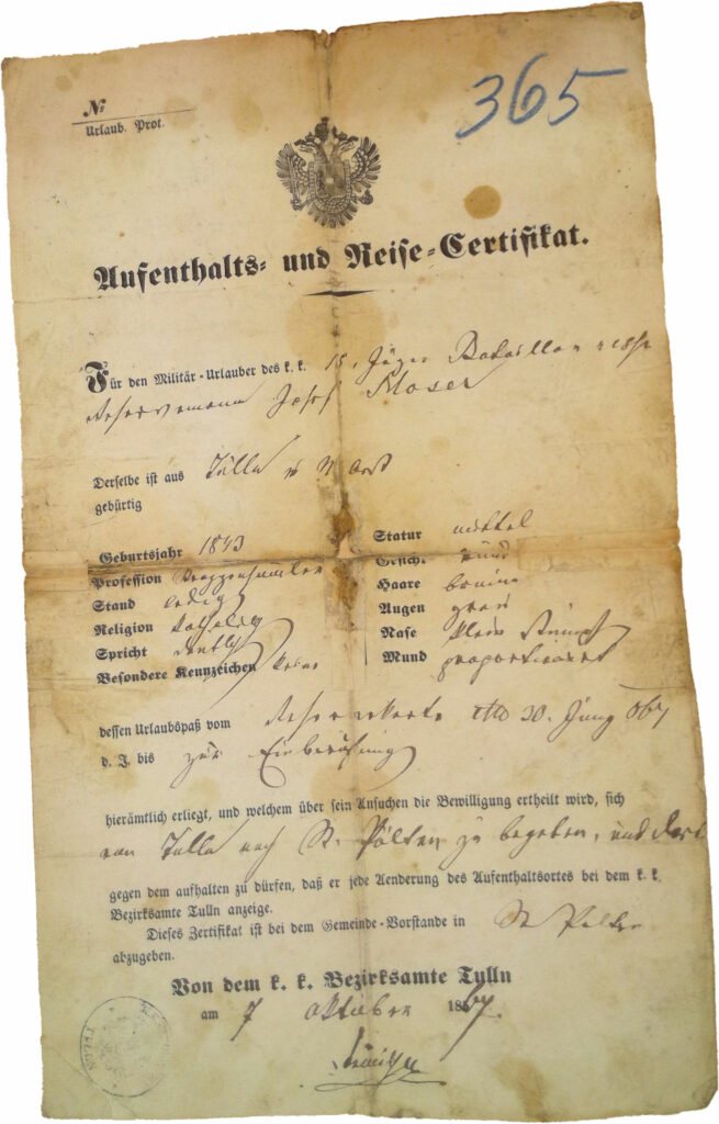 Dr. Sigrid Wadauer, Privatdoz.